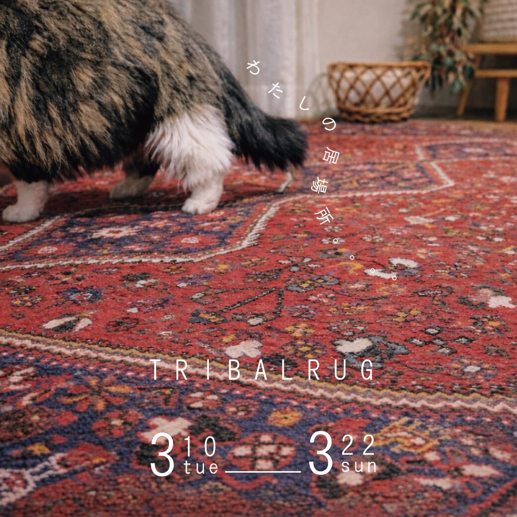 FAV LIFE 手織り絨毯展 TRIBALRUG展 わたしの居場所。