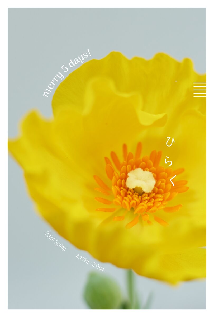 La Feuille  　Merry 5days! 2025 spring「ひらく」